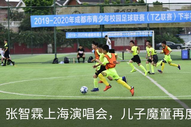 张智霖上海演唱会，儿子魔童再度亮相担任吉他手，帅气风貌引人注目